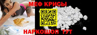 спайс Кингисепп