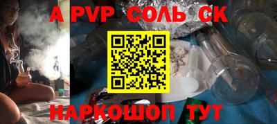 спайс Кингисепп