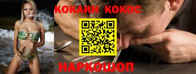 спайс Кингисепп