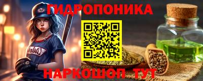 спайс Кингисепп