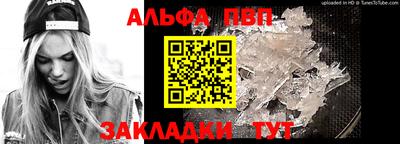 спайс Кингисепп