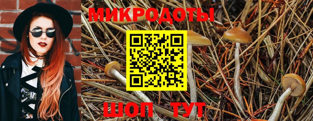 Галлюциногенные грибы MAGIC MUSHROOMS Кумертау